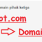 Kesalahan dan error saat merubah domain tld